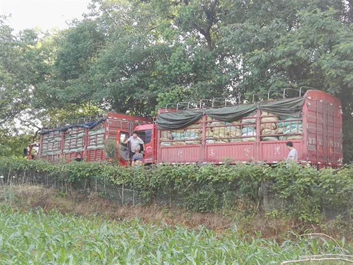 水草发货中